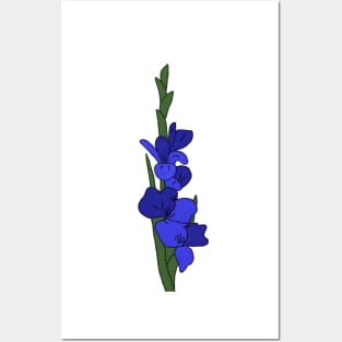 Blaue Gladiole Posters and Art